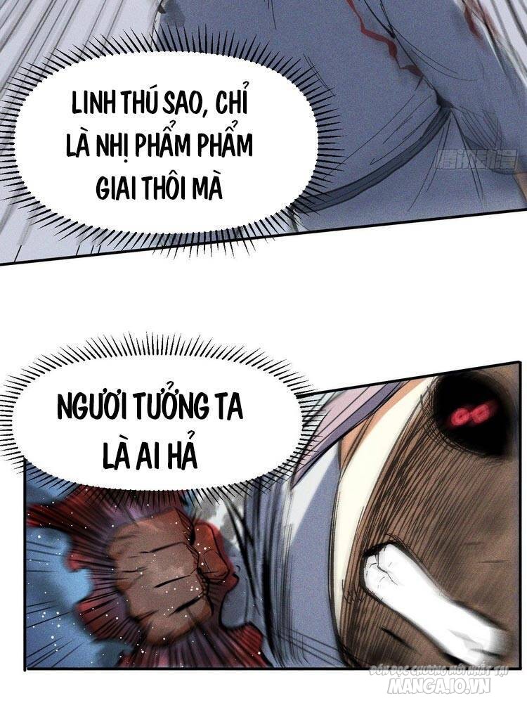 Nhân Vật Chính Mạnh Nhất Lịch Sử Chapter 13 - Trang 2