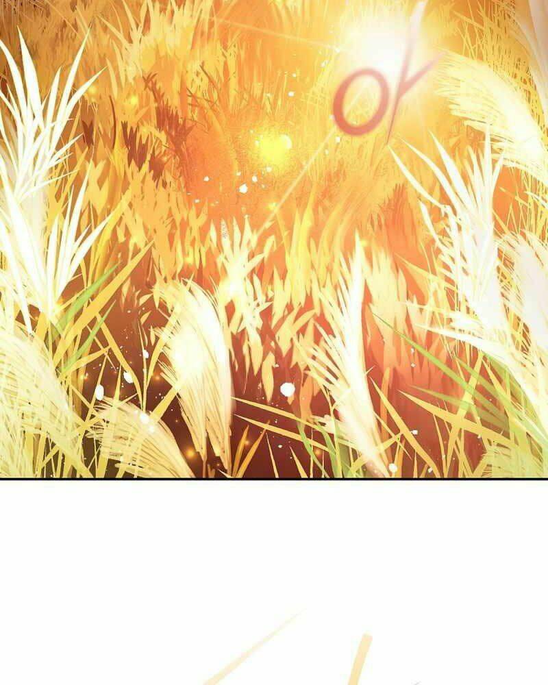 Nhân Vật Ngoài Lề Tiểu Thuyết Chapter 5 - Trang 2