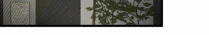 Nhân Vật Phản Diện: Sau Khi Nghe Lén Tiếng Lòng, Nữ Chính Muốn Làm Hậu Cung Của Ta! Chapter 59 - Trang 2