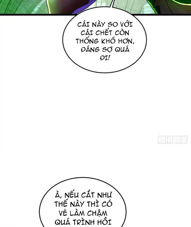 Nhân Vật Phản Diện Trong Trò Chơi Tận Thế Quật Khởi Chapter 56 - Trang 2