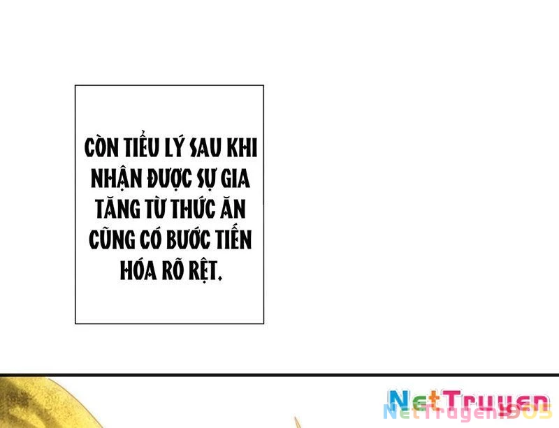 Nhân Vật Phản Diện Trong Trò Chơi Tận Thế Quật Khởi Chapter 7 - Trang 2