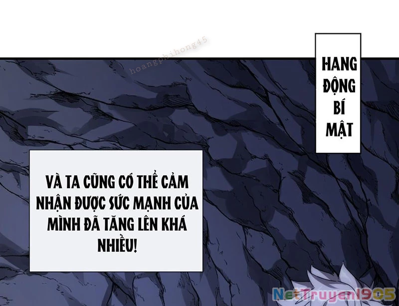 Nhân Vật Phản Diện Trong Trò Chơi Tận Thế Quật Khởi Chapter 7 - Trang 2
