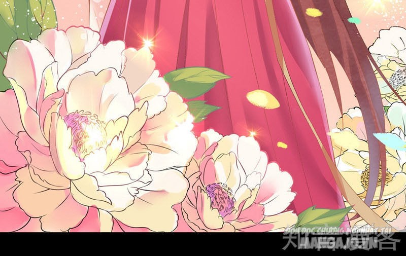 Nhất Đẳng Gia Đinh Chapter 0 - Trang 2