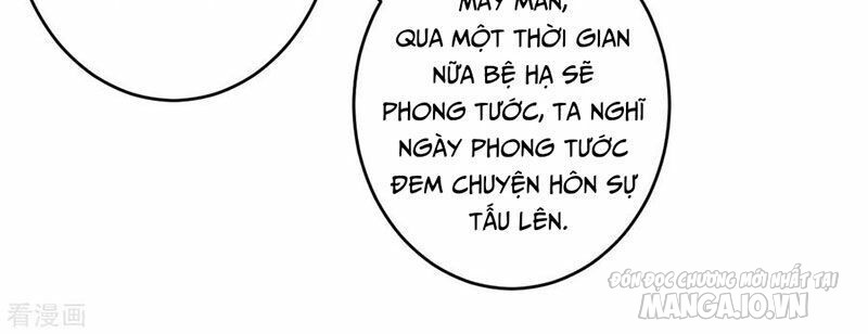 Nhất Đẳng Gia Đinh Chapter 115 - Trang 2