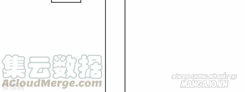 Nhất Đẳng Gia Đinh Chapter 115 - Trang 2