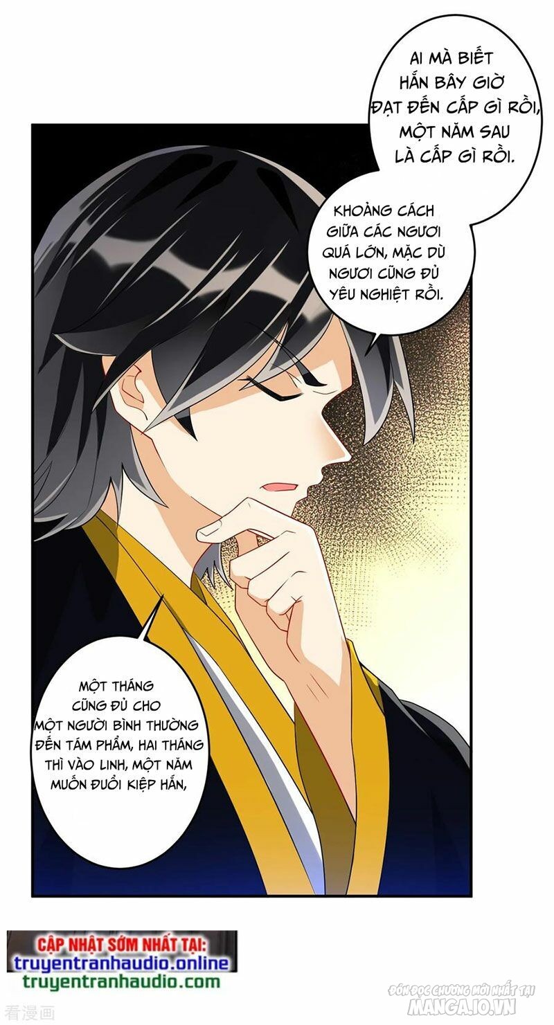 Nhất Đẳng Gia Đinh Chapter 117 - Trang 2