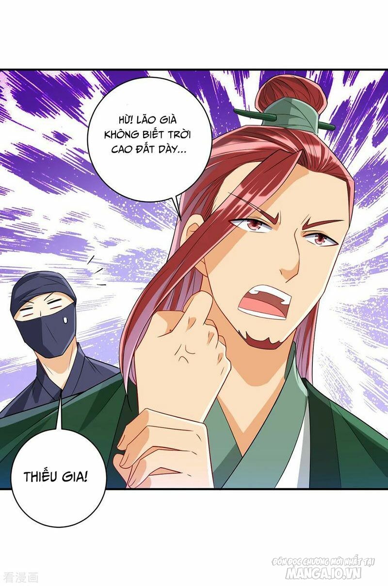 Nhất Đẳng Gia Đinh Chapter 126 - Trang 2