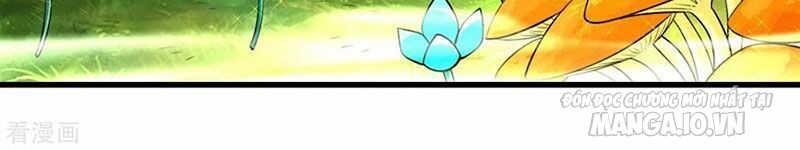 Nhất Đẳng Gia Đinh Chapter 136 - Trang 2