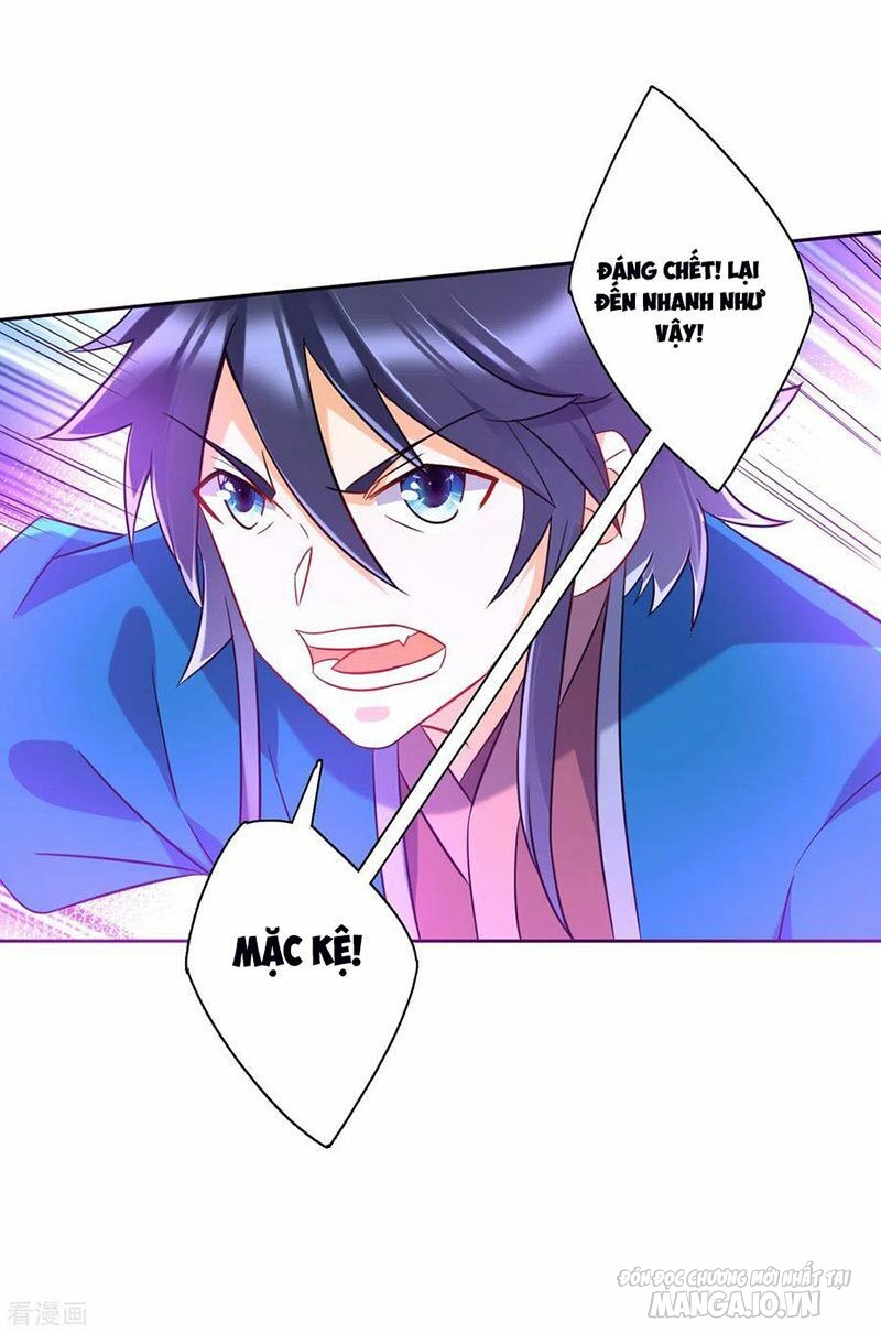 Nhất Đẳng Gia Đinh Chapter 142 - Trang 2