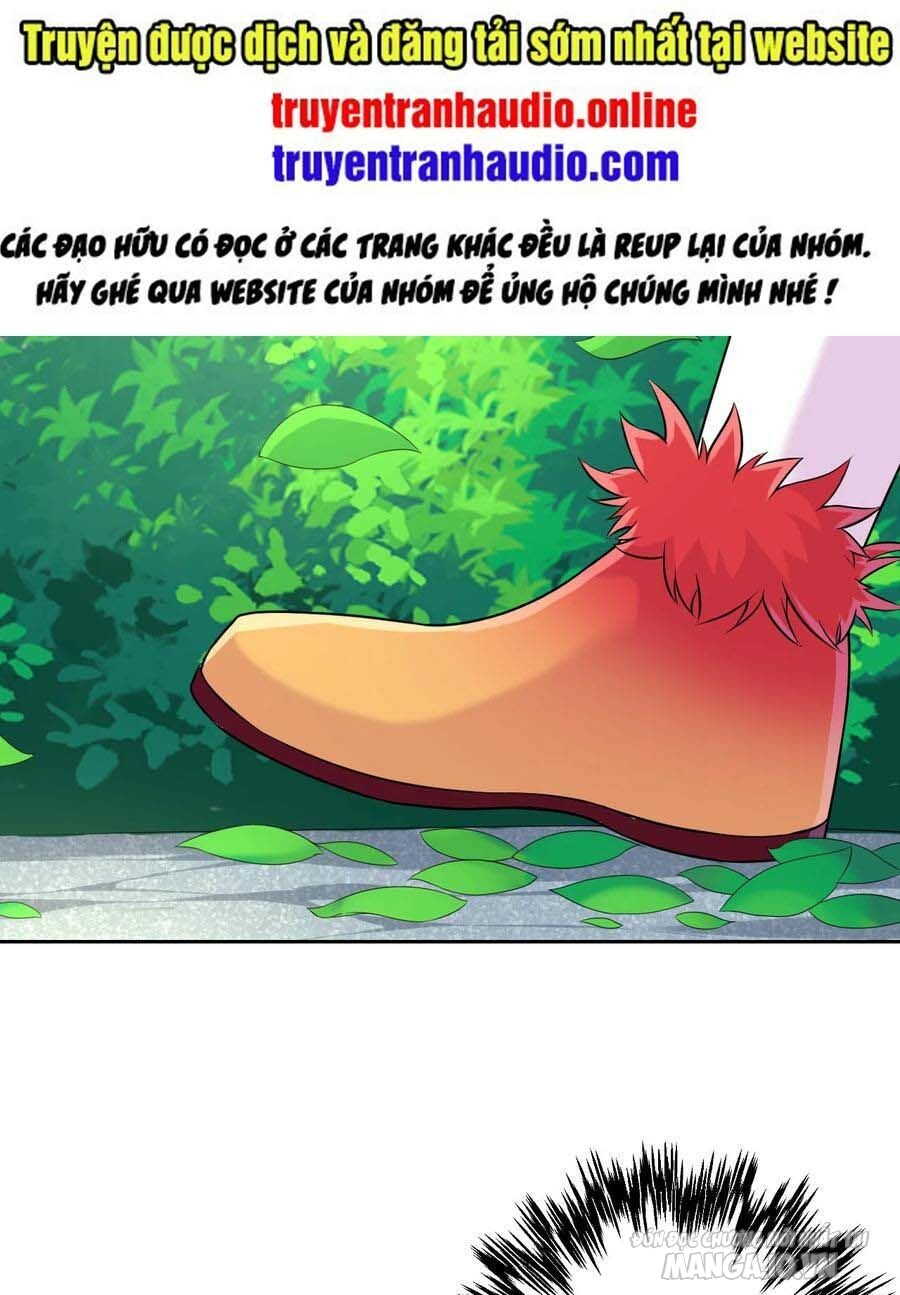 Nhất Đẳng Gia Đinh Chapter 145 - Trang 2