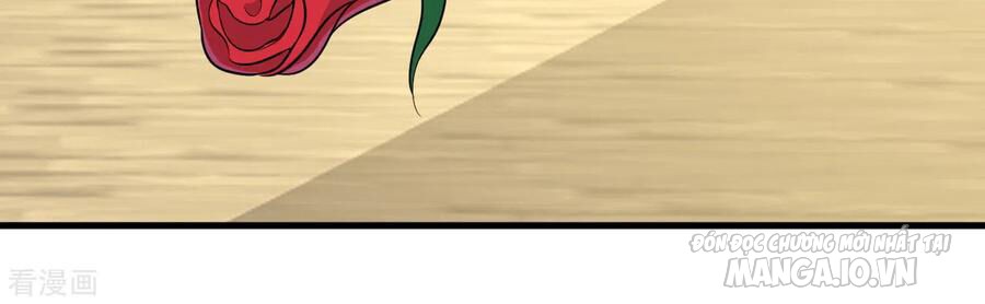 Nhất Đẳng Gia Đinh Chapter 152 - Trang 2