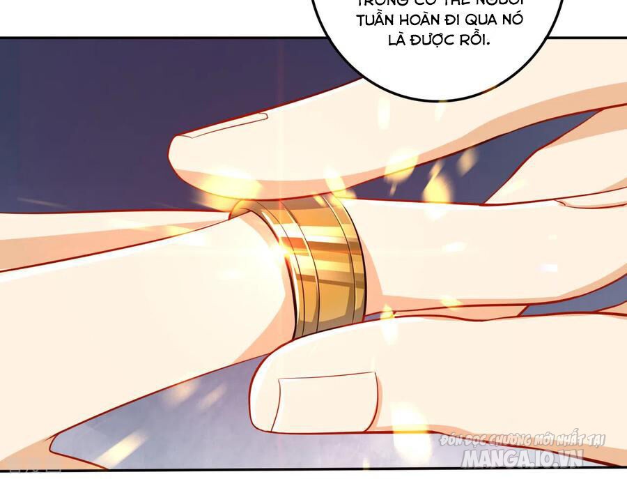 Nhất Đẳng Gia Đinh Chapter 158 - Trang 2