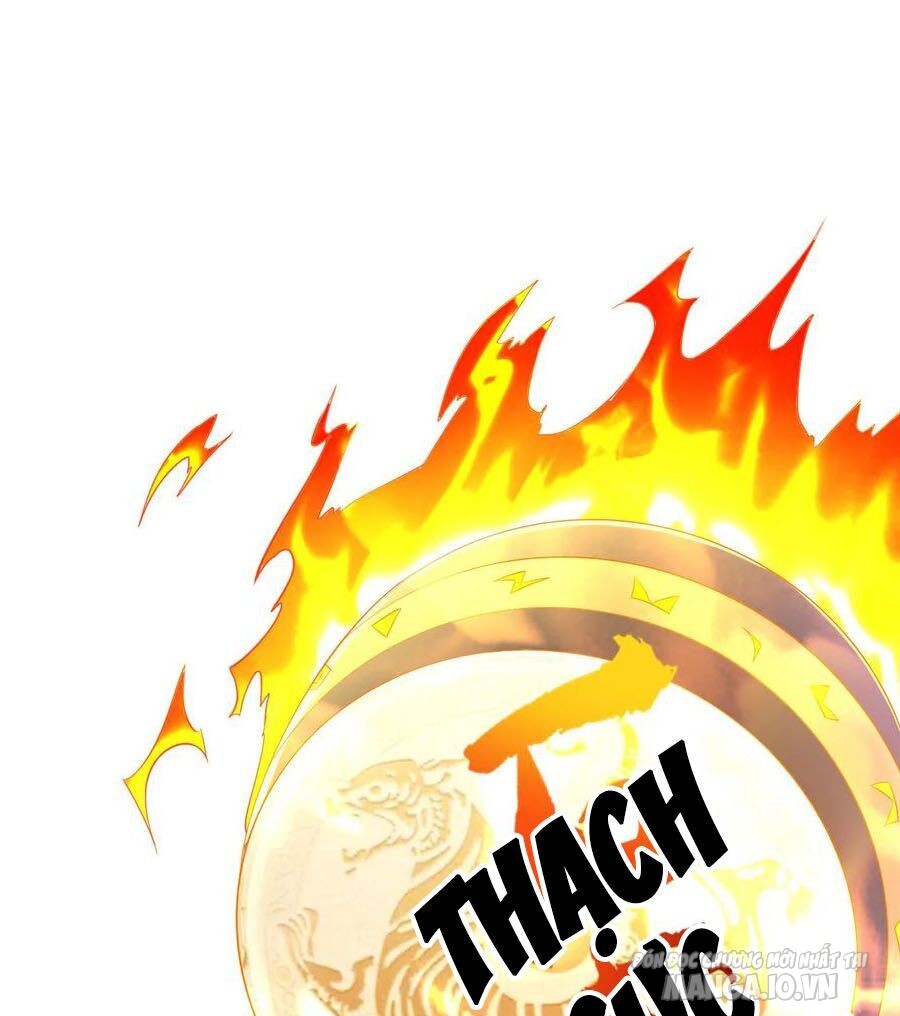 Nhất Đẳng Gia Đinh Chapter 161 - Trang 2