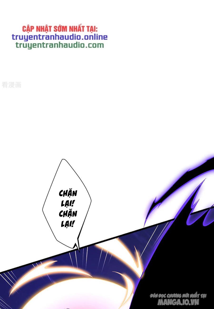 Nhất Đẳng Gia Đinh Chapter 166 - Trang 2