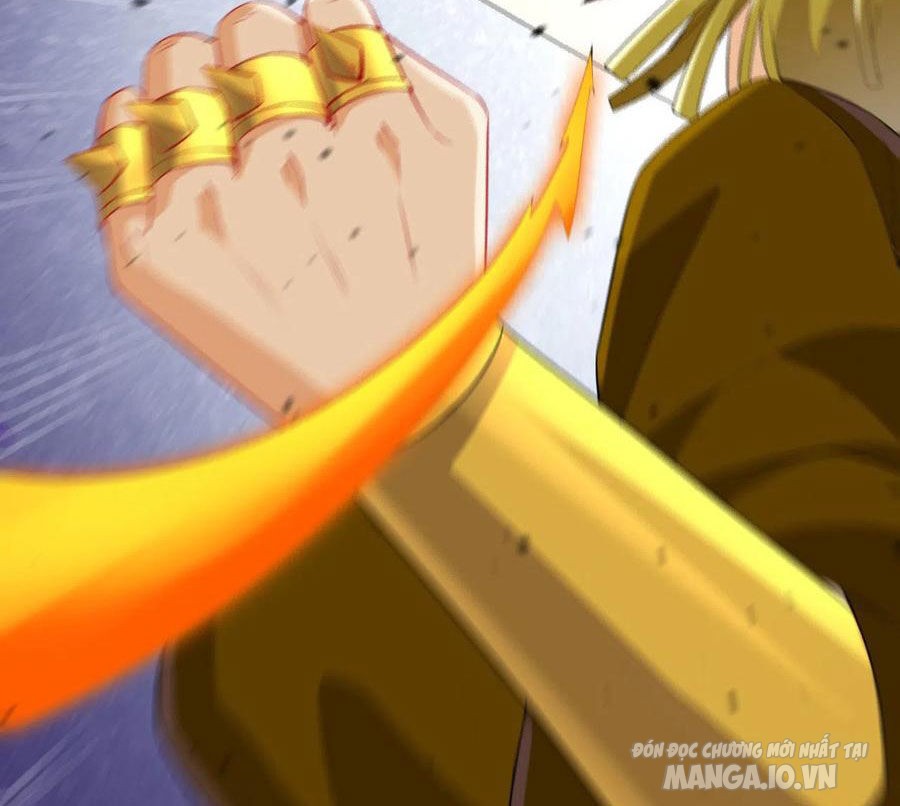 Nhất Đẳng Gia Đinh Chapter 166 - Trang 2