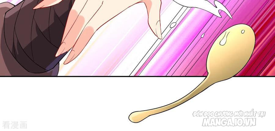 Nhất Đẳng Gia Đinh Chapter 167 - Trang 2