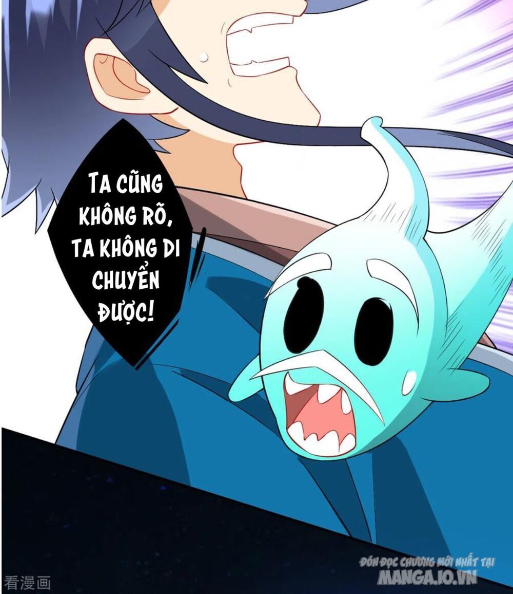 Nhất Đẳng Gia Đinh Chapter 170 - Trang 2