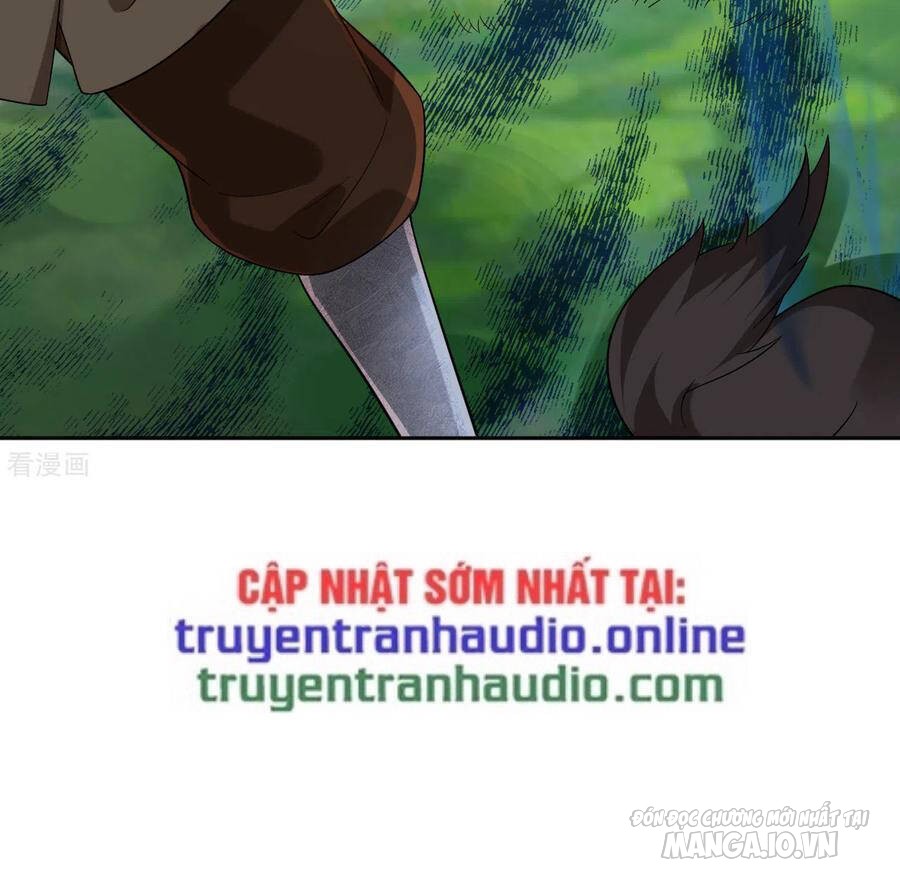 Nhất Đẳng Gia Đinh Chapter 178 - Trang 2