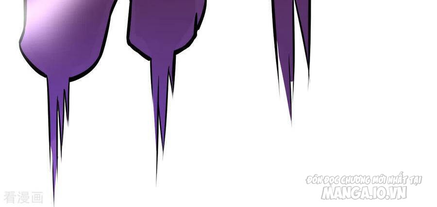 Nhất Đẳng Gia Đinh Chapter 181 - Trang 2