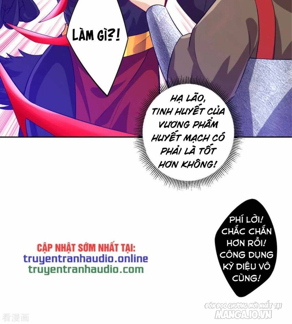 Nhất Đẳng Gia Đinh Chapter 184 - Trang 2