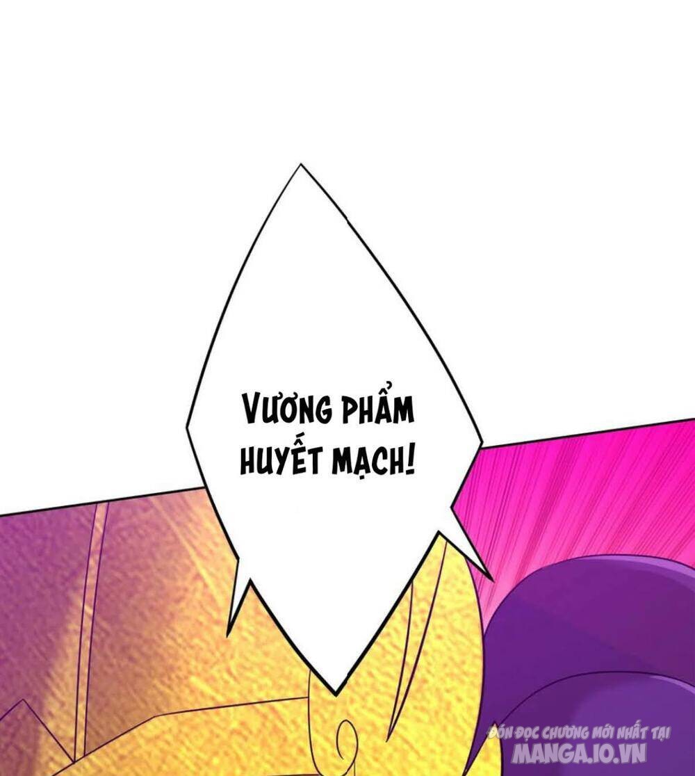 Nhất Đẳng Gia Đinh Chapter 184 - Trang 2