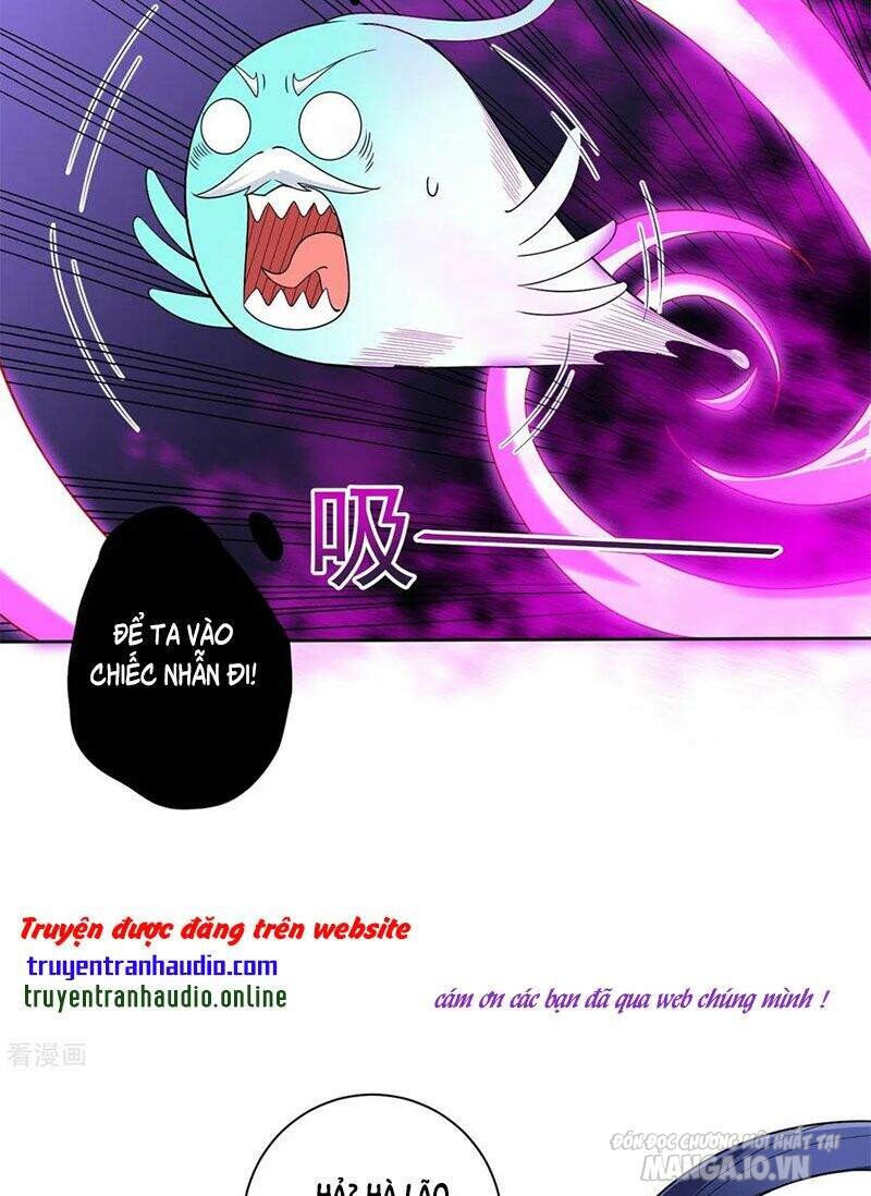 Nhất Đẳng Gia Đinh Chapter 187 - Trang 2