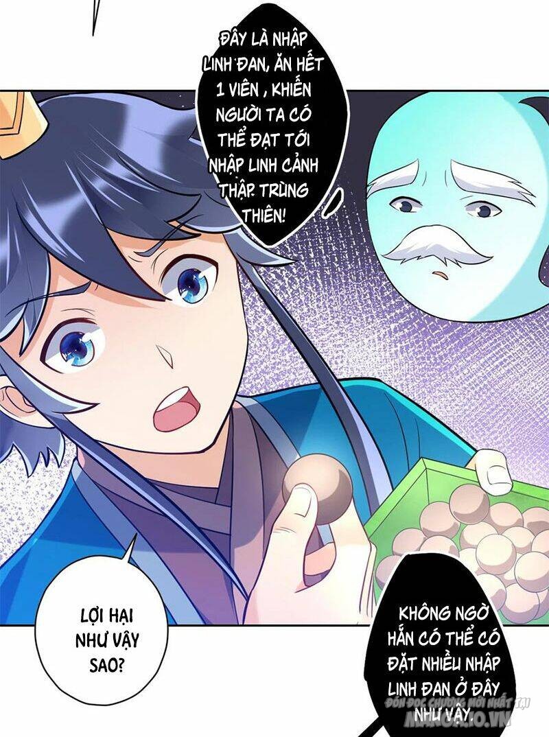 Nhất Đẳng Gia Đinh Chapter 189 - Trang 2