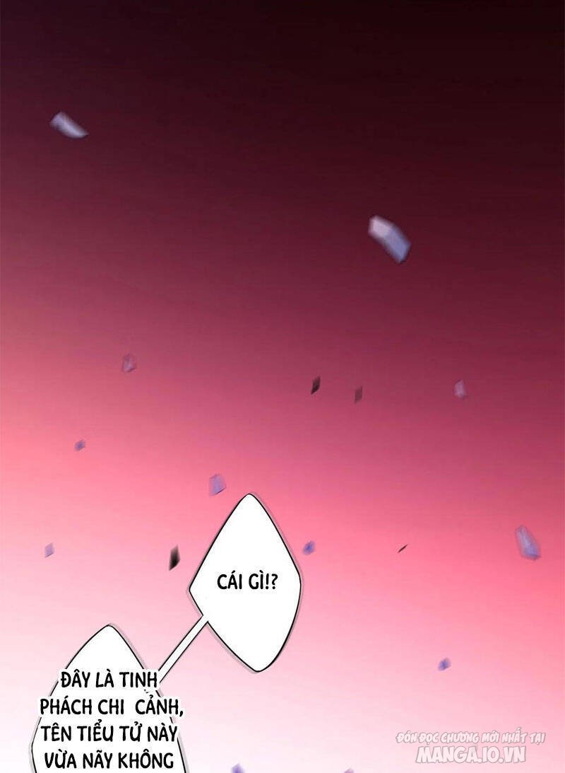 Nhất Đẳng Gia Đinh Chapter 191 - Trang 2