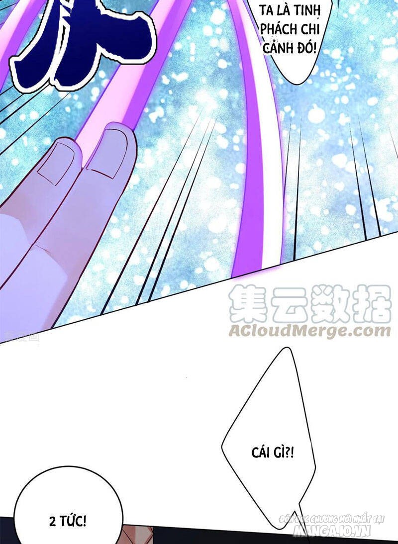 Nhất Đẳng Gia Đinh Chapter 191 - Trang 2