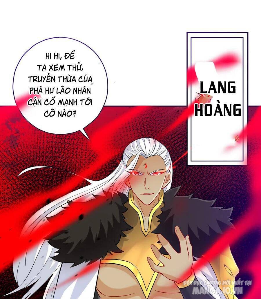 Nhất Đẳng Gia Đinh Chapter 195 - Trang 2
