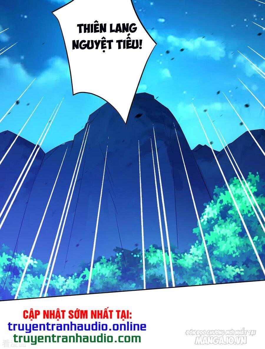 Nhất Đẳng Gia Đinh Chapter 195 - Trang 2