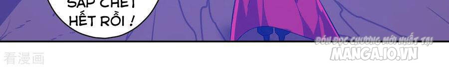 Nhất Đẳng Gia Đinh Chapter 202 - Trang 2