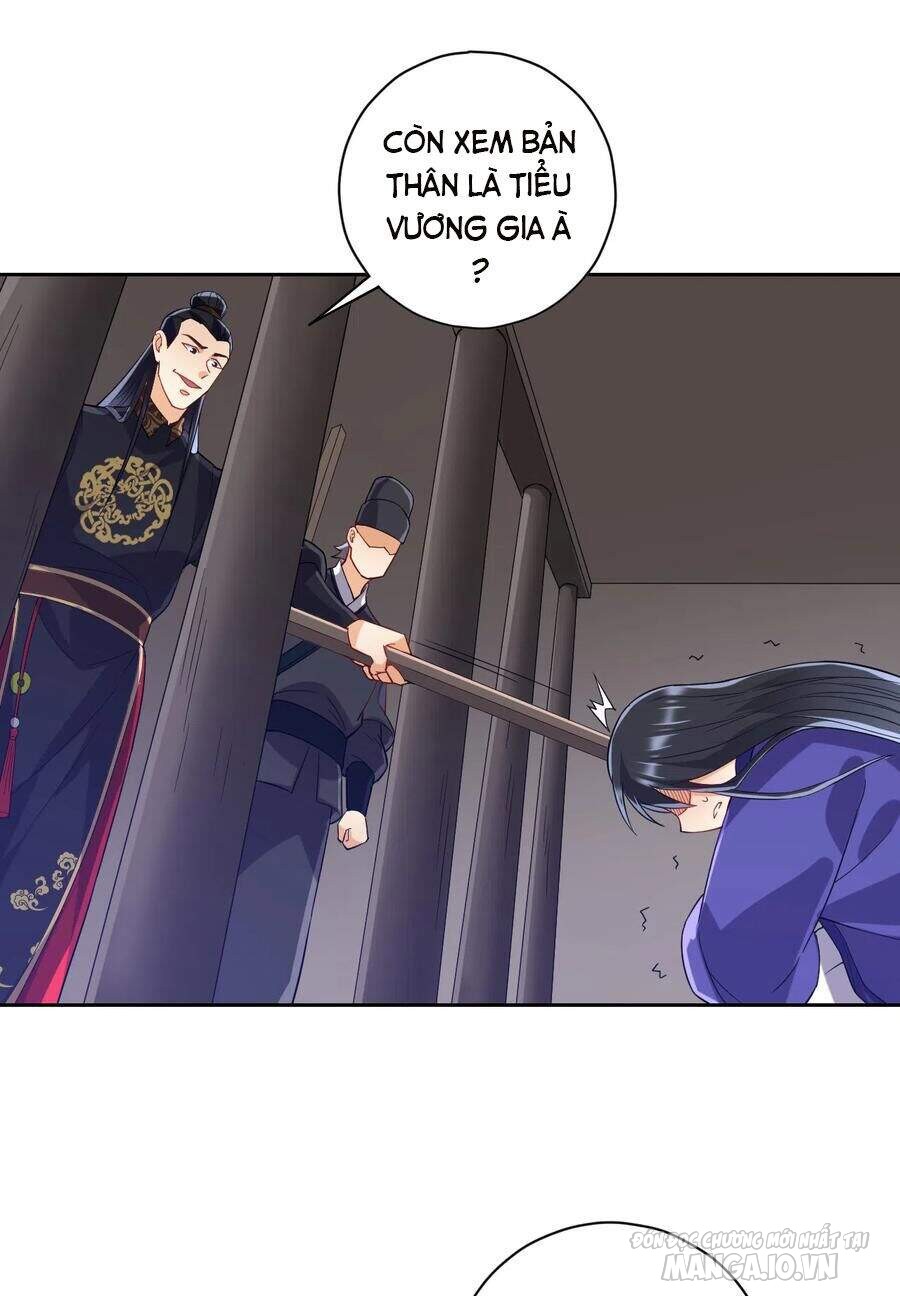 Nhất Đẳng Gia Đinh Chapter 218 - Trang 2