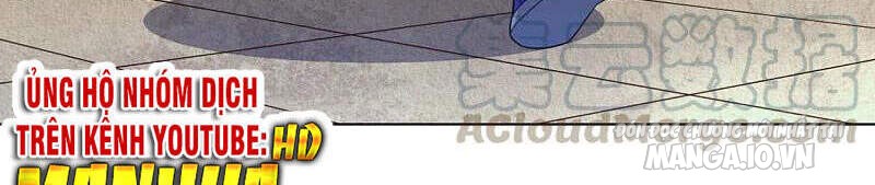 Nhất Đẳng Gia Đinh Chapter 236 - Trang 2