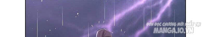 Nhất Đẳng Gia Đinh Chapter 236 - Trang 2