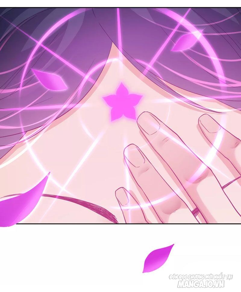 Nhất Đẳng Gia Đinh Chapter 4 - Trang 2