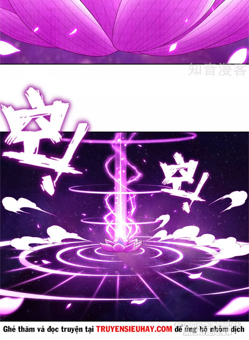 Nhất Đẳng Gia Đinh Chapter 5 - Trang 2