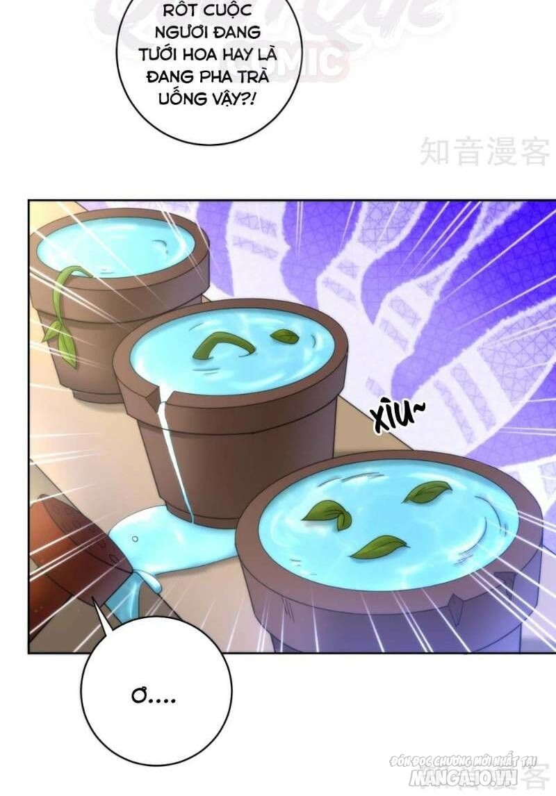 Nhất Đẳng Gia Đinh Chapter 52 - Trang 2