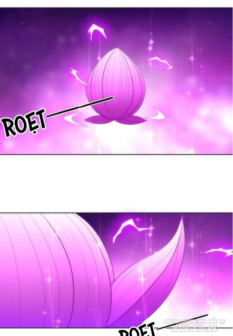 Nhất Đẳng Gia Đinh Chapter 74 - Trang 2