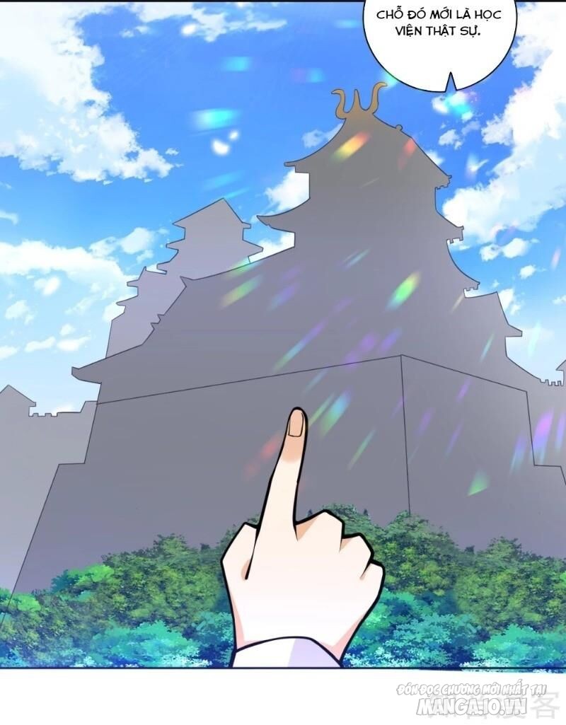 Nhất Đẳng Gia Đinh Chapter 87 - Trang 2