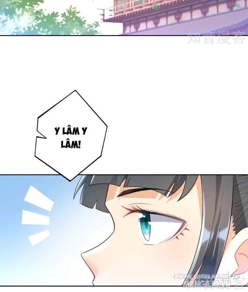 Nhất Đẳng Gia Đinh Chapter 88 - Trang 2