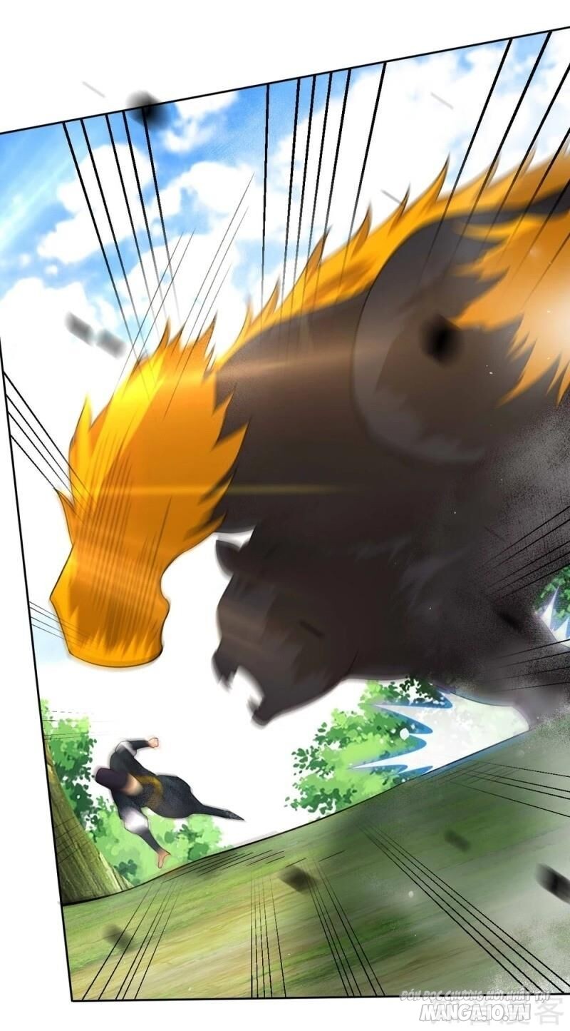 Nhất Đẳng Gia Đinh Chapter 97 - Trang 2