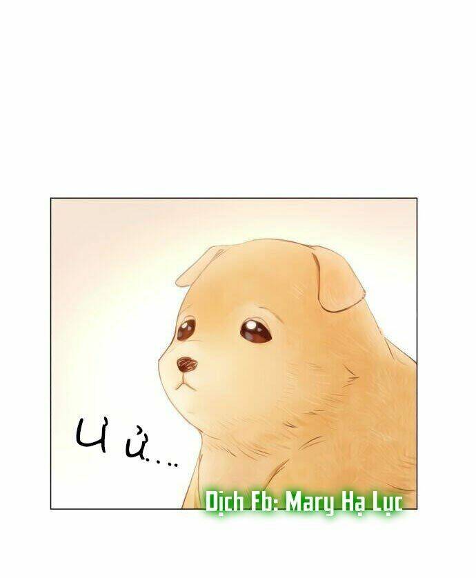 Nhất Định Chúng Ta Sẽ Được Hạnh Phúc Chapter 1 - Trang 2