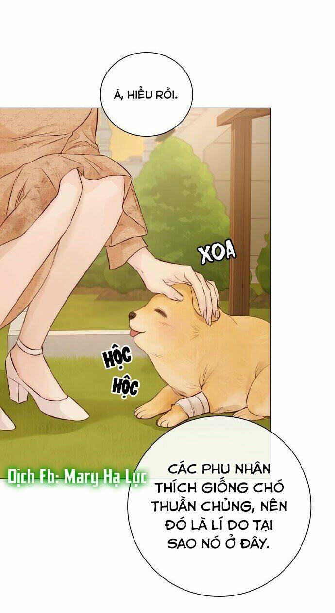 Nhất Định Chúng Ta Sẽ Được Hạnh Phúc Chapter 1 - Trang 2