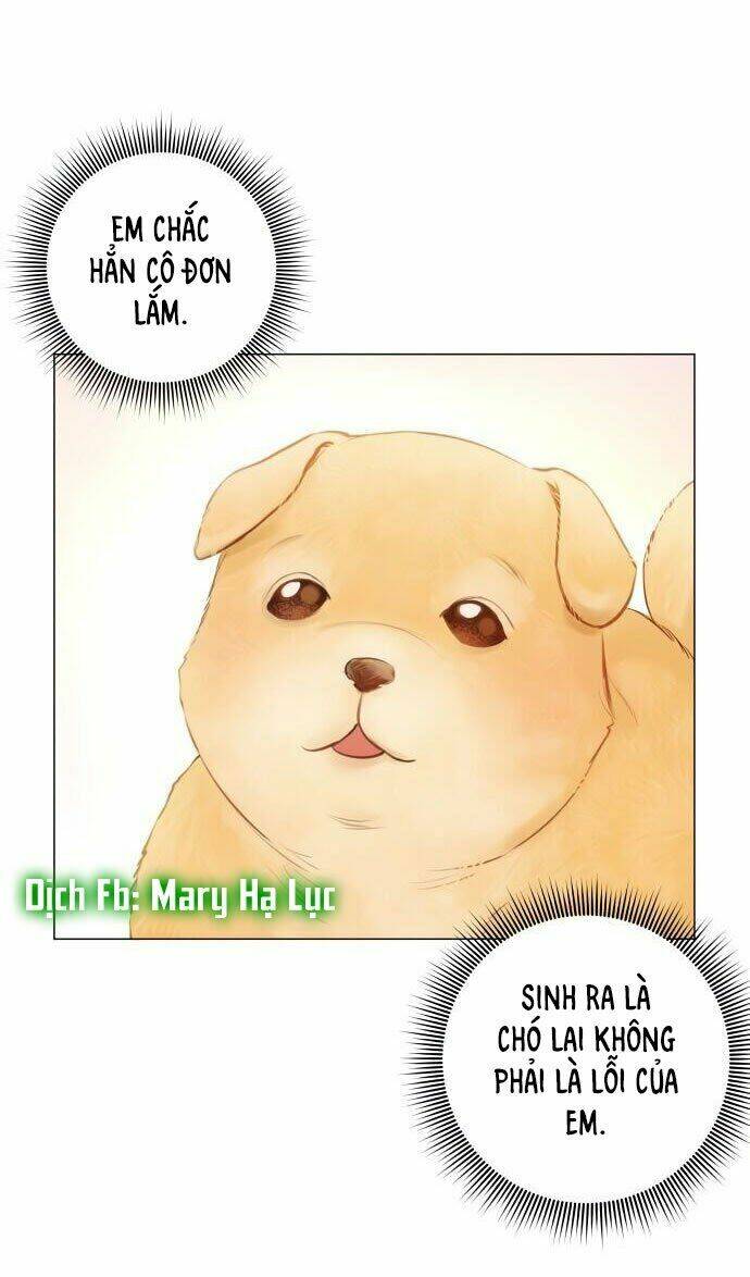 Nhất Định Chúng Ta Sẽ Được Hạnh Phúc Chapter 1 - Trang 2