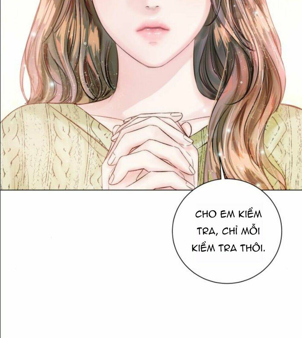 Nhất Định Chúng Ta Sẽ Được Hạnh Phúc Chapter 12 - Trang 2