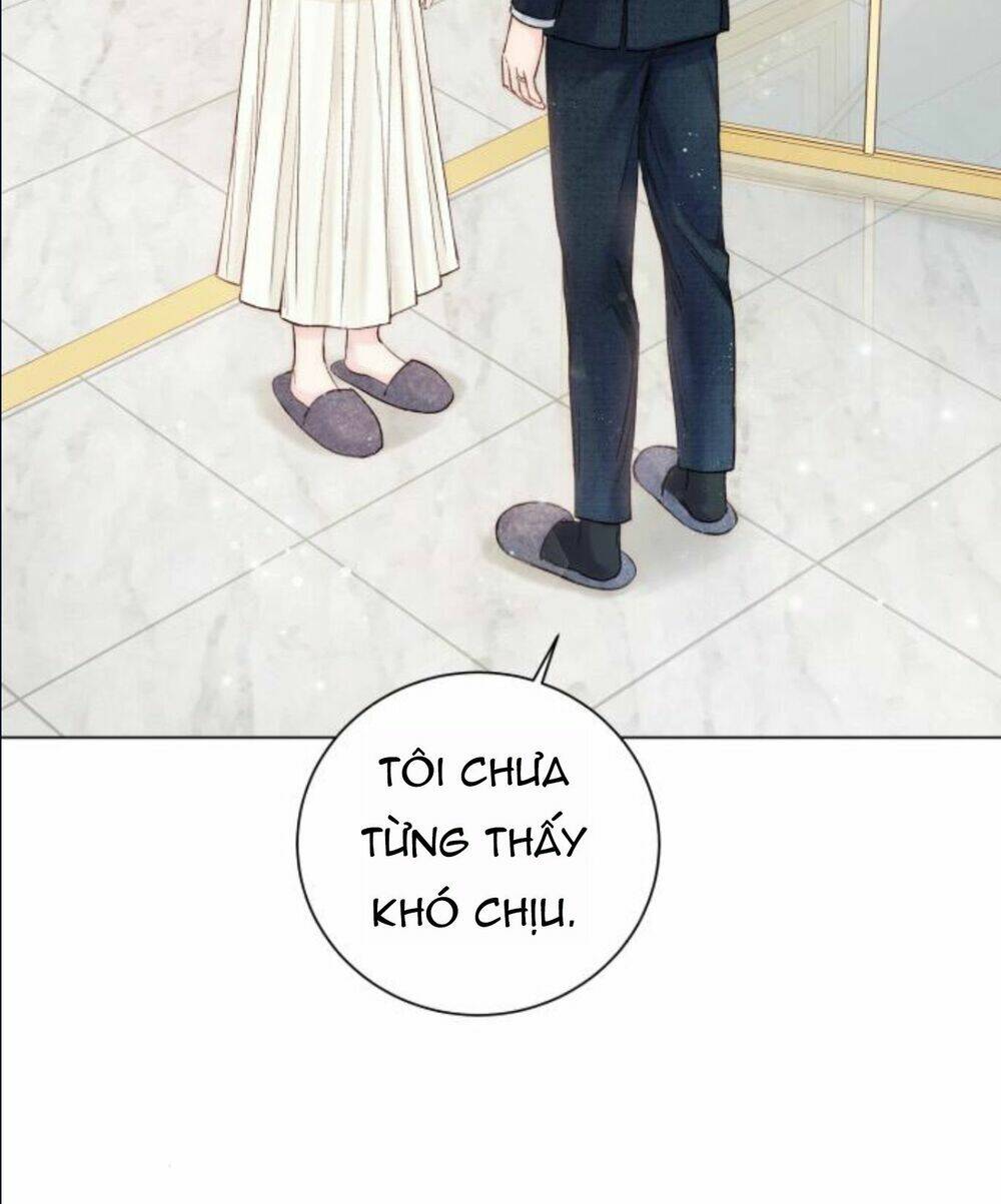 Nhất Định Chúng Ta Sẽ Được Hạnh Phúc Chapter 12 - Trang 2