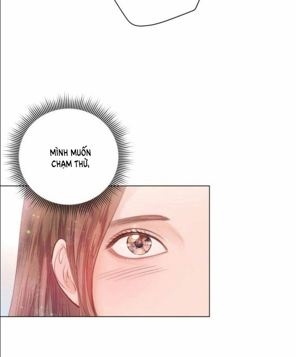 Nhất Định Chúng Ta Sẽ Được Hạnh Phúc Chapter 15 - Trang 2