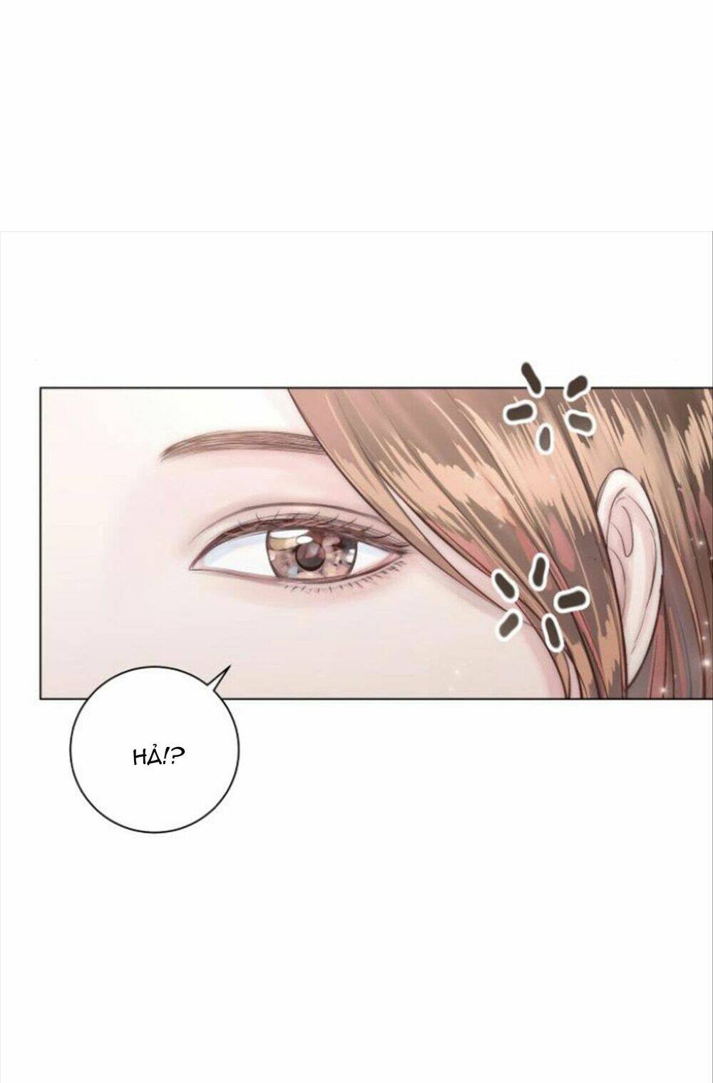 Nhất Định Chúng Ta Sẽ Được Hạnh Phúc Chapter 17 - Trang 2