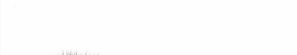 Nhất Định Chúng Ta Sẽ Được Hạnh Phúc Chapter 21.3 - Trang 2